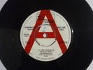 The marvelettes I'll keep holding on tamla motown demo 