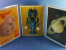 FABULOUS FULL SET OF THREE B52s PICTURE DISC SINGLES ROCK LOBSTER LTD EDITION