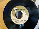 The Velvets That Lucky Old Sun/Time And Again Doo Wop Monument 45 L408