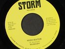 MUNKOFF: high water / it's my party STORM 7