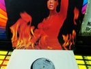 ?1969 THE FIREBIRDS ? RAW & WILD  FUZZ Garage BLUE CHEER ? HENDRIX TRASHY TEENS