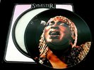 33T PICTURE DISC SYLVESTER STARS ORIGINAL FRANCE 1979