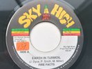 Fire Facts - Earth In Turmoil - Reggae 7