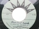 Bumps Jackson – Funky In Jamaica - Reggae Funk Crossover EX - Chappy