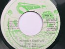 Israel Vibration - Rudeboy Shufflin' - Reggae Roots - Sonic Sounds