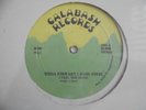 TINGA STEWART I Feel The Music CALABASH 80's Roots Killer  Reggae 12
