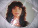 KATE BUSH Picture Disc 