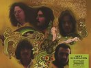 TURTLES - MORE GOLDEN HITS (GOLD VINYL)