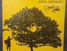 Jack Johnson In Between Dreams Signed  LP