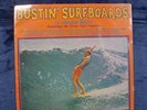 Bustin Surfboards SEALED MINT Vinyl LP Beach Boys