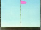 Wire - Pink Flag Vinyl LP 2018 NEW