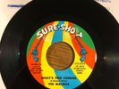 The Malibus GEE BABY (I love you) Classic Northern Soul 