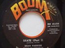 Dean Parrish - Skate (45)