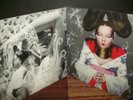 Lot: 2 BJORK LPs - Vespertine / Homogenic - New SEALED  vinyl
