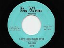 Falcons, Sonny Munro - Love Look In Her Eyes / In Time For The Blues (45) 1971