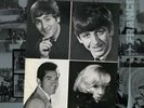 The Beatles France paris palais des sports, 20th june 1965 color Vinyl LP  #440