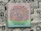 black magick ss Hidden In Plain Sight MLP /500 Unplayed/NM Condition