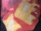 The Jimi Hendrix Experience Electric LadyLand Album Reprise Records RS 6307  VGC