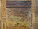 Alice Cooper,School's Out,LP Plus Blue Panties Insert