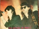 The Sisters Of Mercy . We're all aware of that. Black Vinyl Butterfly bootleg.