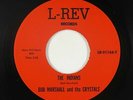 Funk R&B/Northern Soul 45 - Bob Marshall - The Indians - L-Rev VG+ mp3 obscure