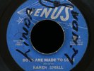 KAREN SMALL To Get You Back Again / That's Why I Cry 45 VENUS 1067 US 1966 Soul