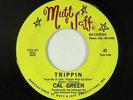 Funk Jazz 45 - Cal Green - Trippin - Mutt & Jeff - VG++ mp3