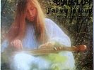 VERONIQUE CHALOT J'AI VU LE LOUP ORIGINAL 1977 ITALIAN CELTIC ACID FOLK LP