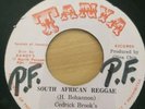 Reggae 45 - Cedrick Brook's Skin, Flesh, & Bones  - South African  Reggae  - Pa