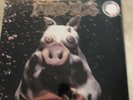 Pork Soda by Primus Vinyl LP 2009, 2 Discs, Plain Recordings Sealed (R2)