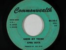 Northern Soul 45 - April Silva - Under My Thumb - Commonwealth - mp3