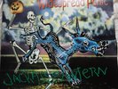 Widespread Panic vinyl 2XLP Jackassolantern Sanctuary 2004