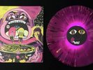 A Cosmic Gift FIELD NOTES LP Vinyl Record Richard Houghten
