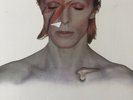 aladin sane 45 years limit edition silver vinyl new unused
