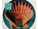 Etienne Daho Caribbean Sea Maxi Picture Disc