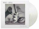 Built to Spill You In Reverse Limited Gatefold 180 Gram Clear Colored Vinyl LP