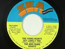 Sweet Soul 45 - New Young Hearts - The Young Hearts Get Lonely Too - Zea - VG++
