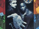 Prime Minister Pete Nice & Daddy Rich - Dust To Dust '93 LP US ORG  Beatnuts