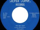 BERNARD TERRY try my go 198¤ (45t) FUNK MODERN SOUL BOOGIE mp3 Repress