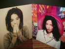 Lot: 2 BJORK LPs - Debut / Post - New SEALED  vinyl