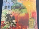 J.k &co Suddenly One Summer lp