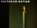 Sonic Youth: Daydream Nation 2-LP Vinyl (Pre-owned, NM)
