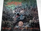 LP SUFFOCATION - EFFIGY OF THE FORGOTTEN