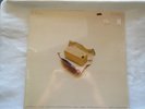 BARBRA STREISAND - BUTTERFLY  - COLUMBIA PC 33005 - GATE COVER - sealed