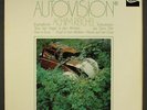 ACHIM REICHEL: autovision ZEBRA 12
