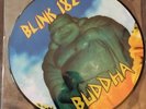 BLINK 182 Buddha LP PICTURE DISC rare oop UNPLAYED
