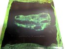AVEY TARE -DOWN THERE- ANIMAL COLLECTIVE -2010 RARE LP