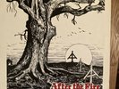 After the Fire LP vinyl original Rock o Rama Oi isd
