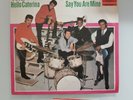 The Tielman-Brothers-Hello Caterina/Say you are mine / Ariola18275 AT