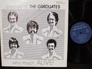 Graduates-Portrait of-Very Much Alive -Mad Grad Records-Amherst MA-PRIVATE LP